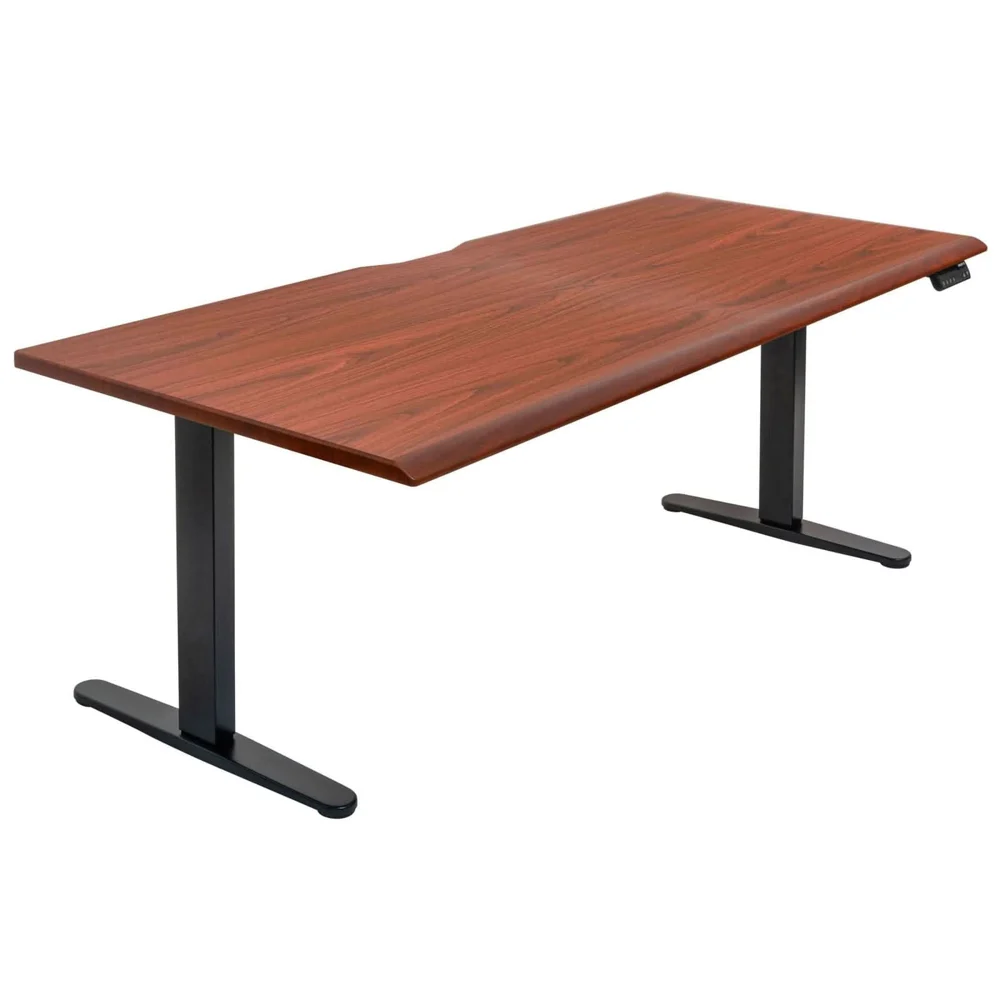 Dual Motor Electric Standing Desk with 72" Tabletop - Black Base