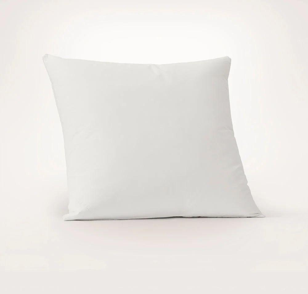 Feather Down Decorative Pillow Insert (22x22)