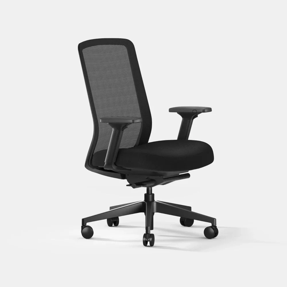 Ergonomic Chair Lite