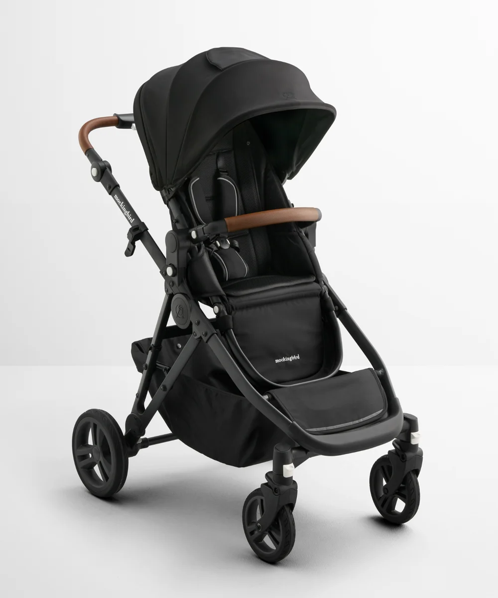 Single-to-Double Stroller 3.0