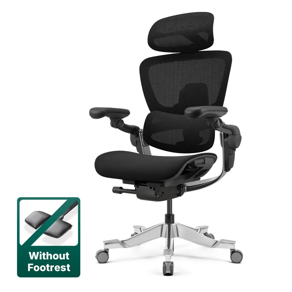 Hinomi H2 Pro Ergonomic Office Chair with Selectable Footrest
