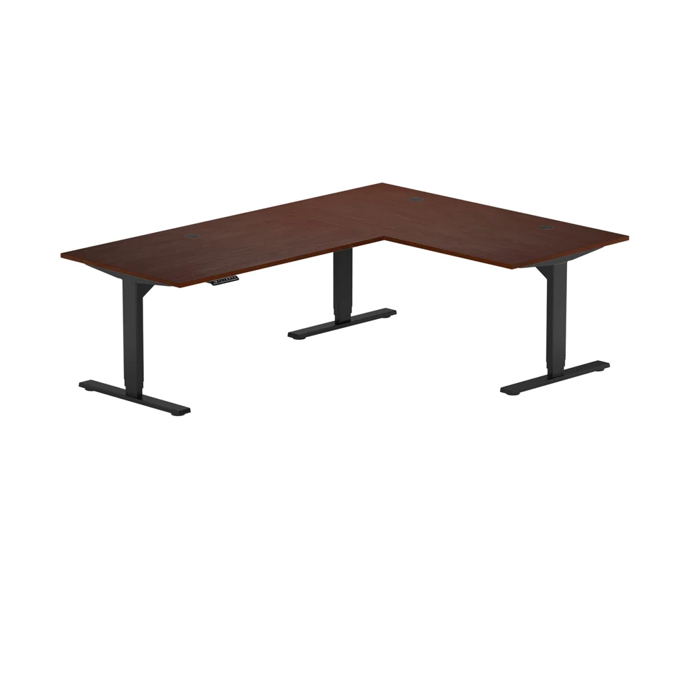 Corner Ryzer Standard