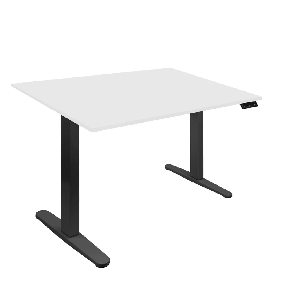 Dual Motor Electric Standing Desk with 48" Tabletop
