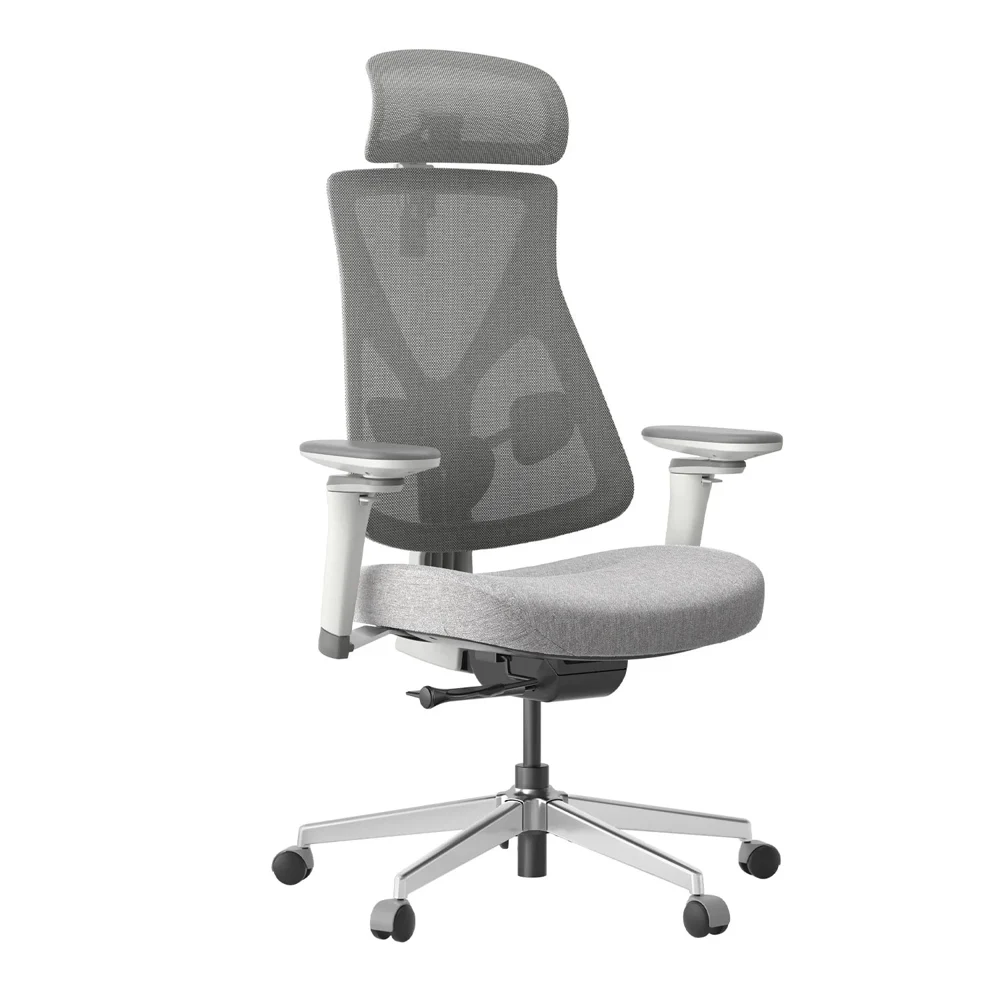 Hinomi D3 Ergonomic Office Chair