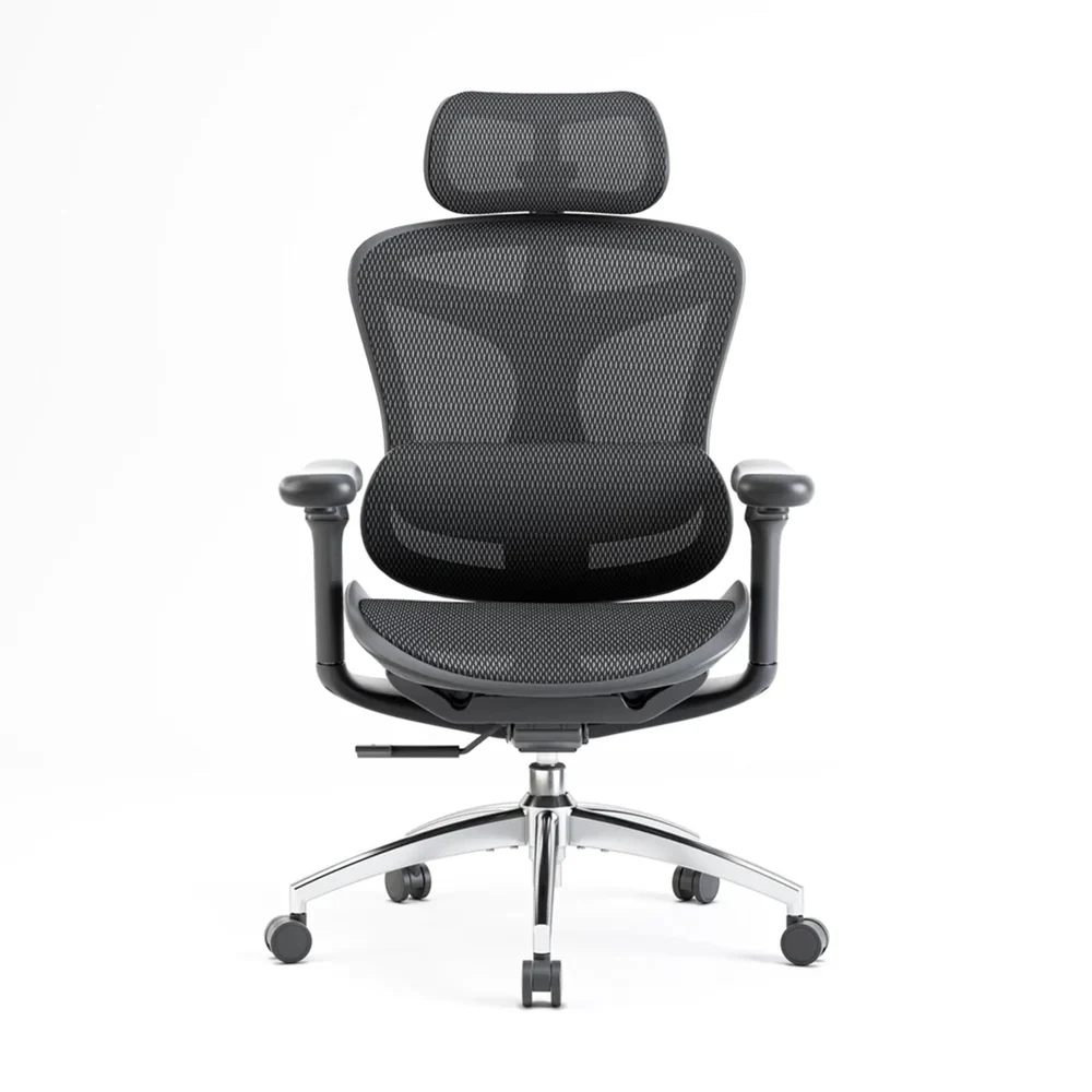Sihoo C300 Ergonomic Office Chair with Advanced Back Support
